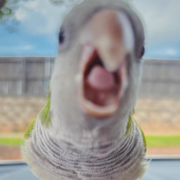 Meet your Posher, Greg - Picture 1 of 1